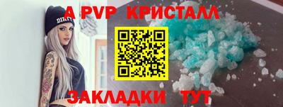 гашик Будённовск