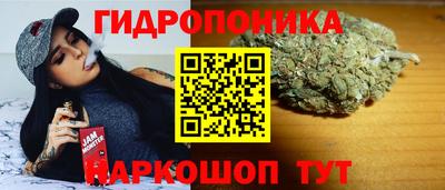 гашик Будённовск