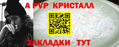 гашик Будённовск