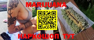 гашик Будённовск