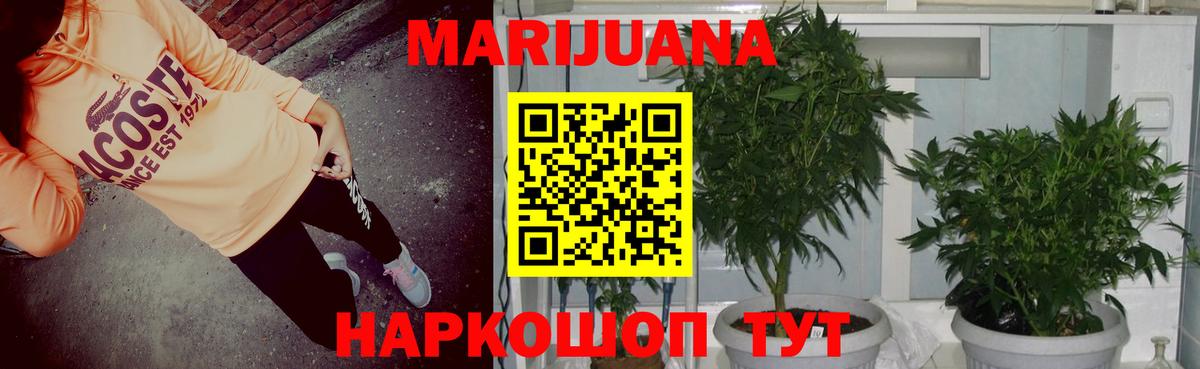 Каннабис тримм  Вход с VPN  Конопля THC 21%  Миасс  МАРИХУАНА сатива 